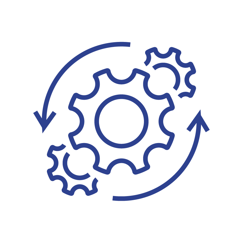 Anonymised Success Story_DSM_Icons-18